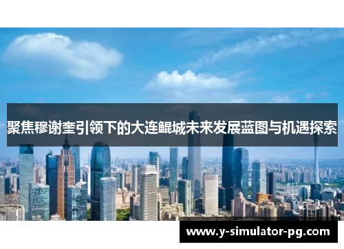 聚焦穆谢奎引领下的大连鲲城未来发展蓝图与机遇探索