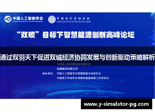 通过双羽天下促进双城经济协同发展与创新驱动策略解析